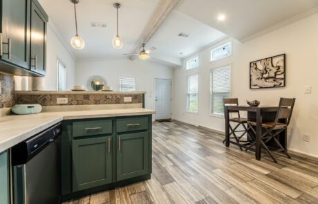 IN1650H11059-Kitchen-3